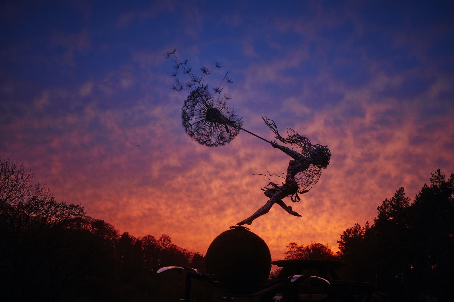 Dancing with Dandelions